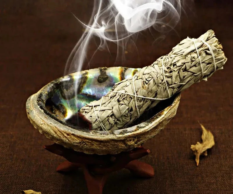 A white sage bundle smolders in an iridescent abalone shell, with wisps of smoke rising gracefully into the air. The shell, placed on a wooden tripod stand, serves as a holder for the sage, enhancing the ritualistic setting. A small inset shows three similar sage bundles and the abalone shell holder.