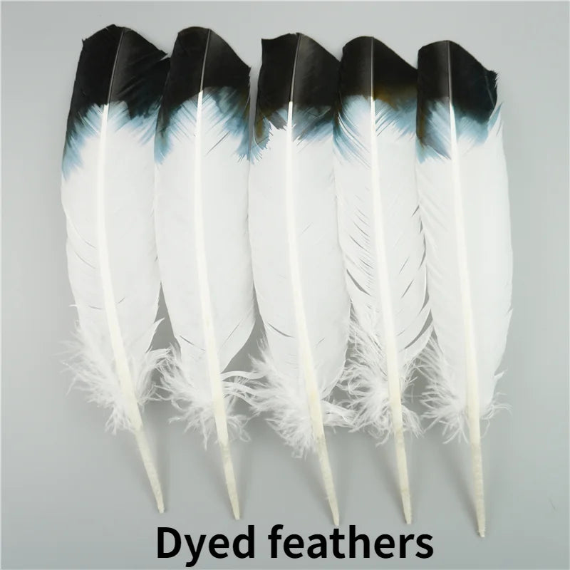 Spiritcrest Feathers