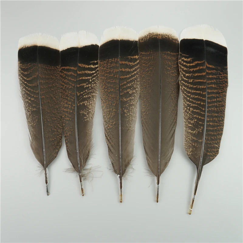 Spiritcrest Feathers