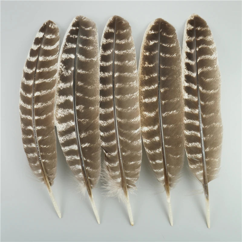 Spiritcrest Feathers