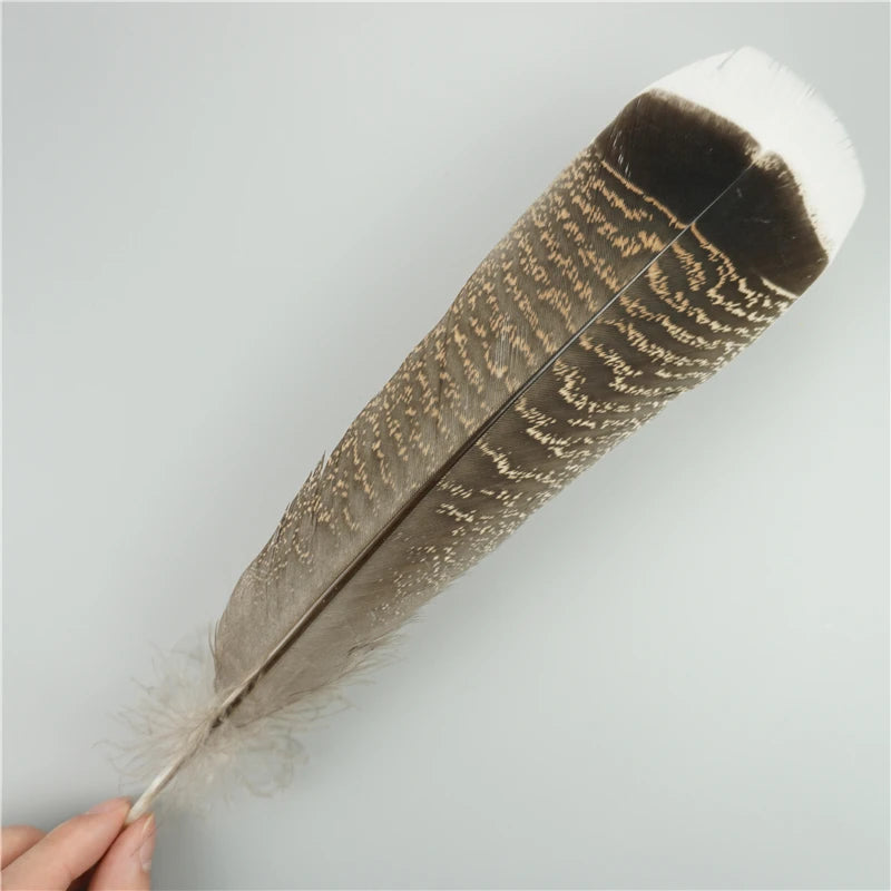 Spiritcrest Feathers