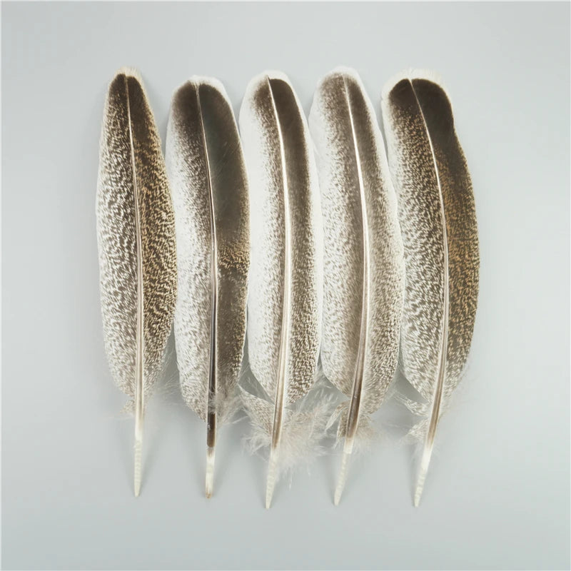 Spiritcrest Feathers