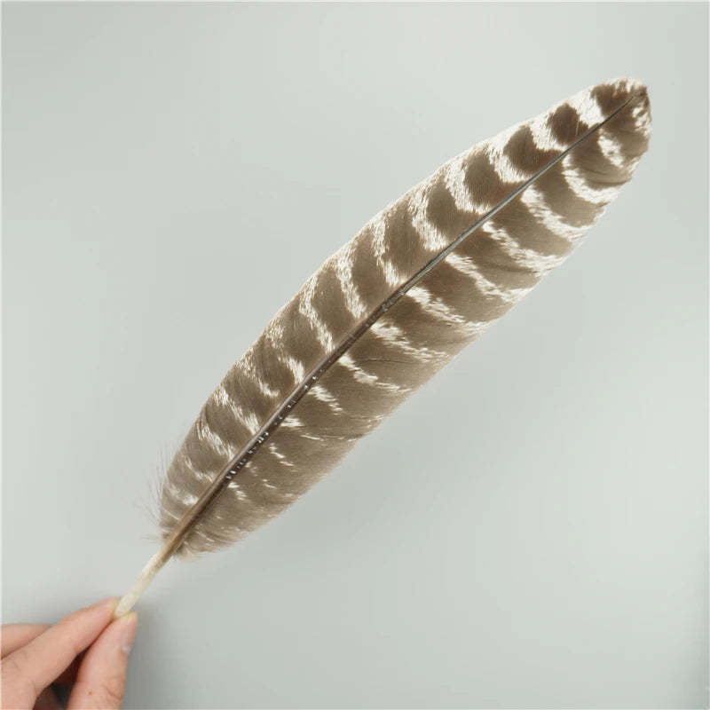 Spiritcrest Feathers