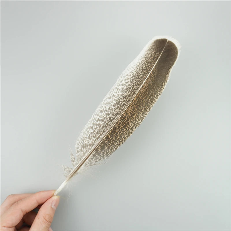 Spiritcrest Feathers