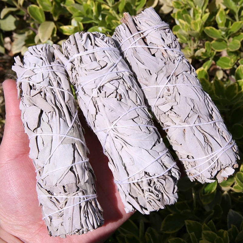 A hand holding three white sage bundles outdoors, with green foliage in the background. The bundles are tightly bound with string, showing their size in relation to the hand.