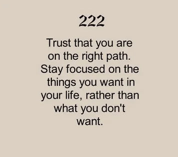 A beige background featuring "222" in bold, followed by the message: "Trust that you are on the right path. Stay focused on the things you want in your life, rather than what you don't want."