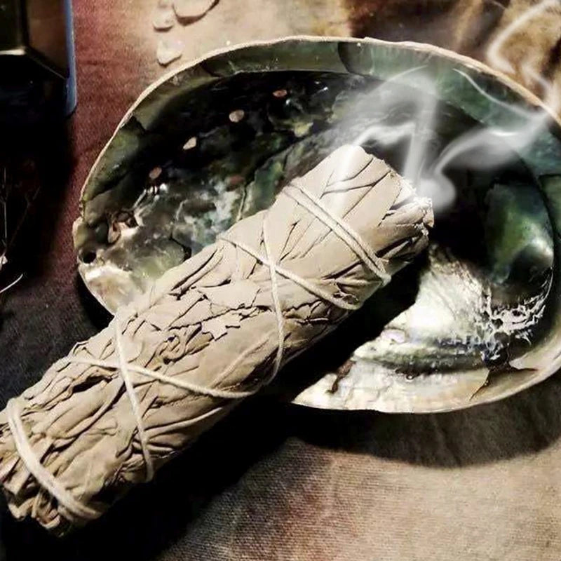 A burning white sage bundle placed on an abalone shell, with visible smoke rising from the smoldering end. The scene suggests a ritual or energy-clearing practice, with the shell serving as a holder.