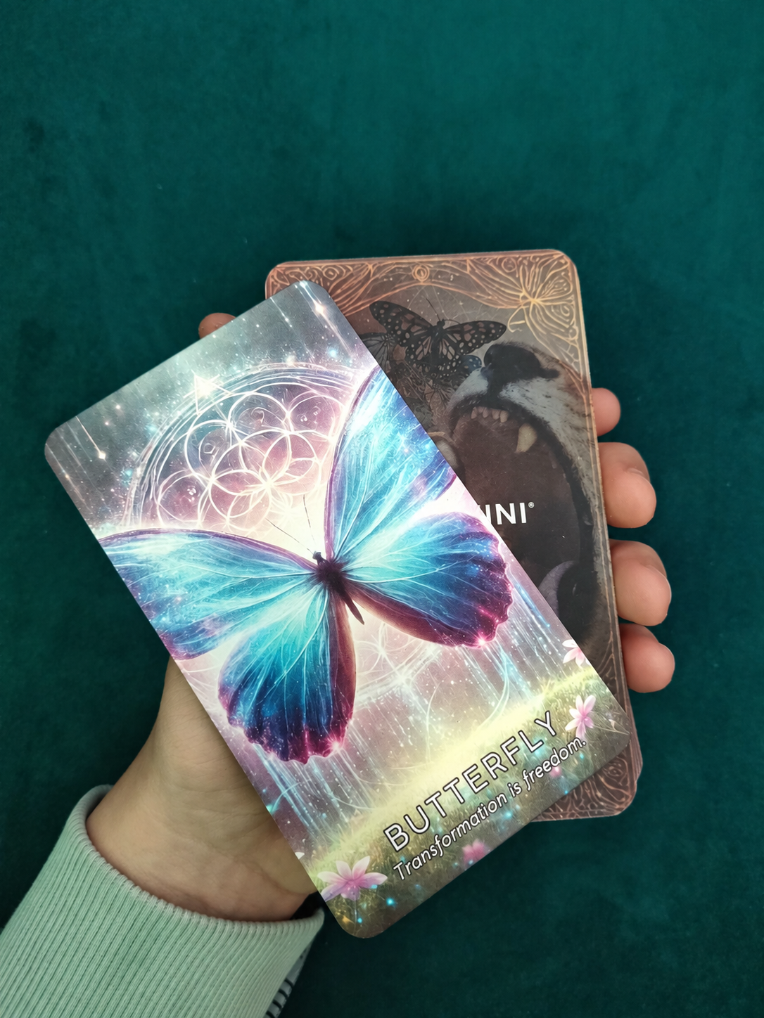 A hand holds two butterfly-themed oracle cards against a dark teal background. The top card is holographic with a glowing blue and purple butterfly, a geometric flower design, and the word 'BUTTERFLY' at the bottom.