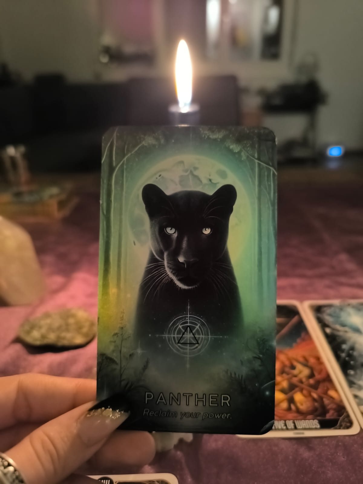 A hand holds a tarot card featuring a black panther under a full moon, with a lit candle burning behind it in a dimly lit room.