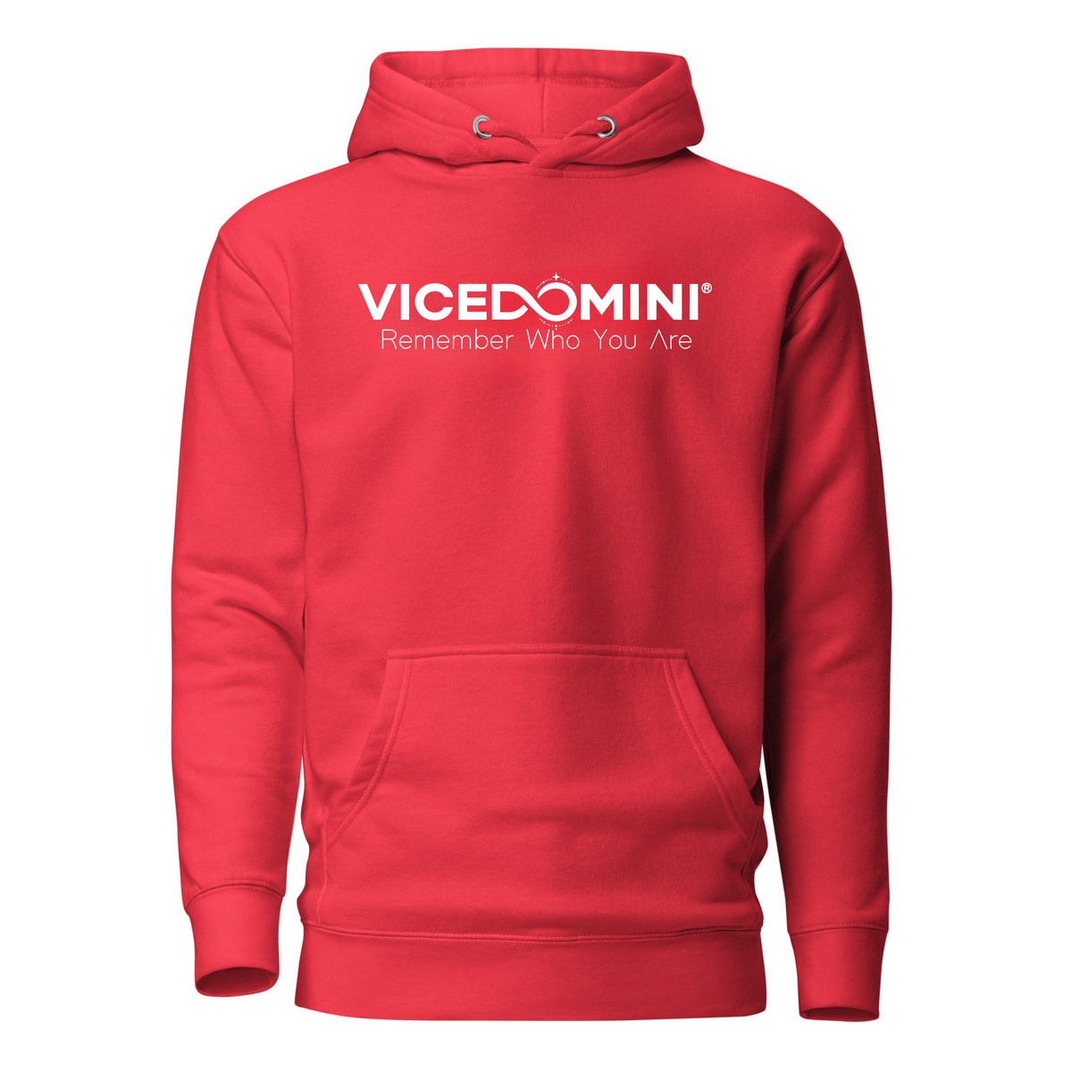 VICEDOMINI Hoodie