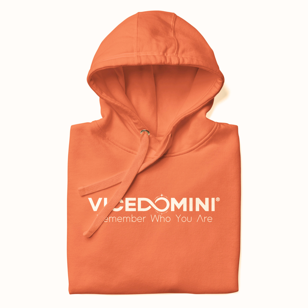 VICEDOMINI Hoodie