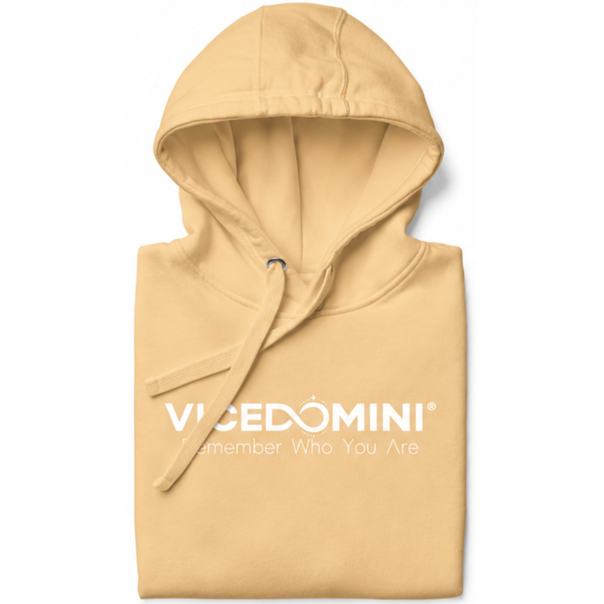 VICEDOMINI Hoodie