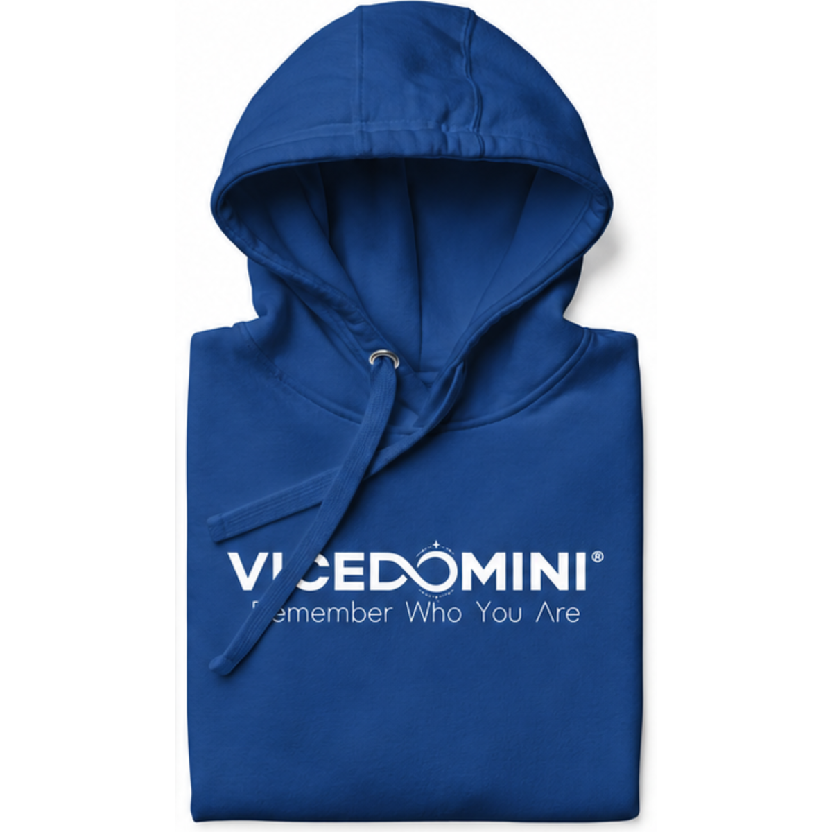 VICEDOMINI Hoodie