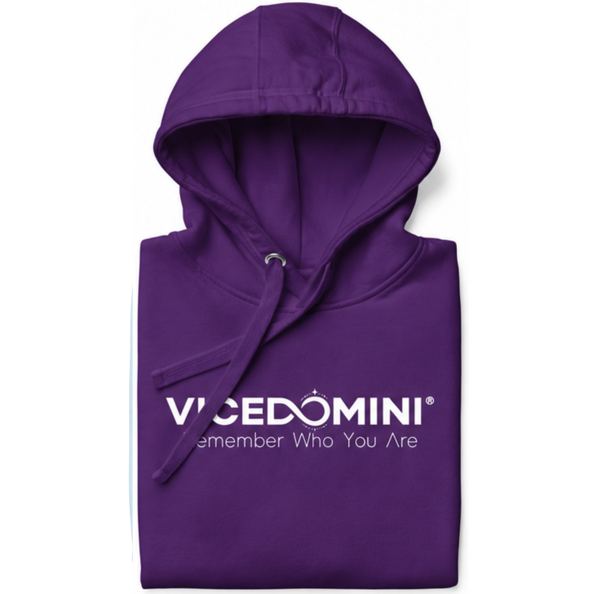 VICEDOMINI Hoodie