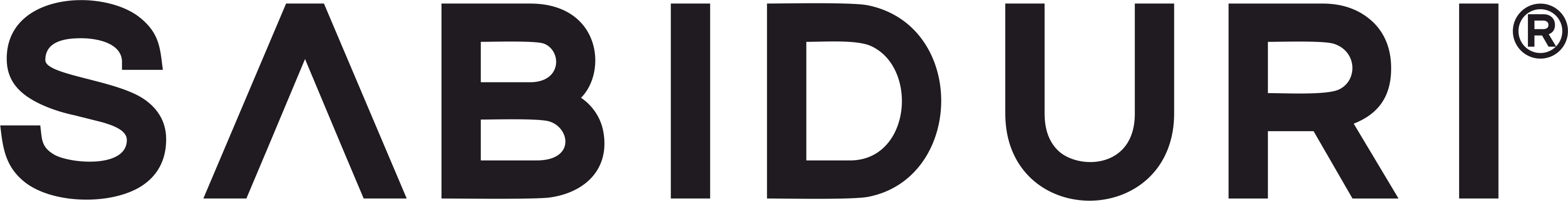 The image shows the word "SABIDURI" in a bold, modern font with a registered trademark symbol.